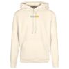 Basic hoodie Thumbnail